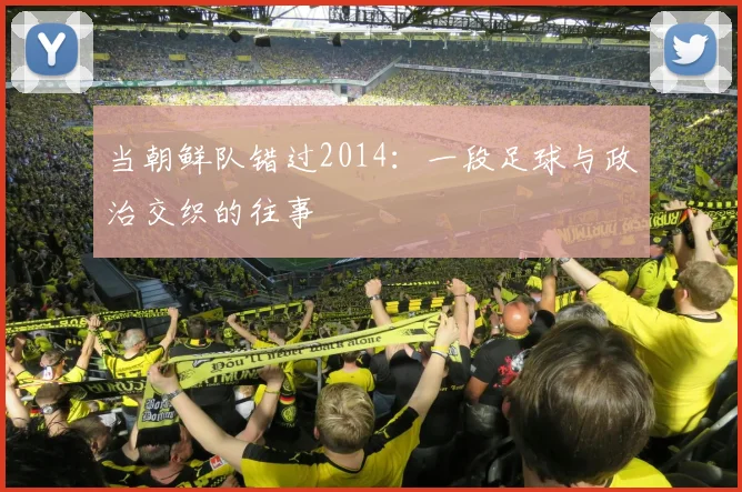 当朝鲜队错过2014:一段足球与政治交织的往事