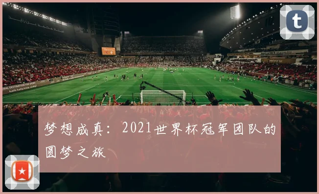 梦想成真：2021世界杯冠军团队的圆梦之旅