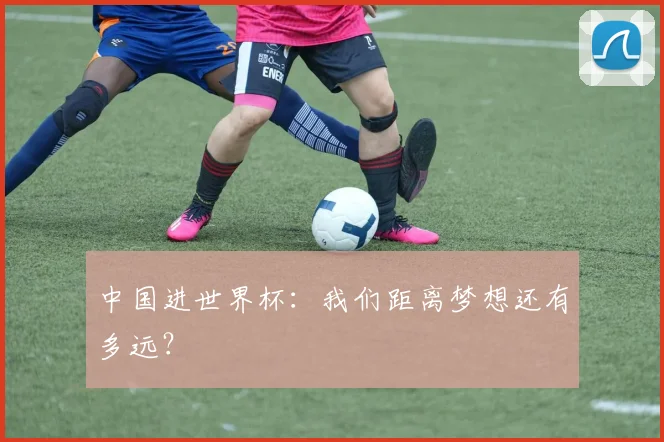 中国进世界杯:我们距离梦想还有多远?