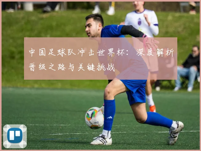 中国足球队冲击世界杯:深度解析晋级之路与关键挑战
