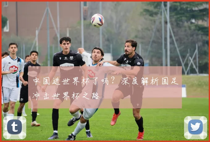 中国进世界杯了吗?深度解析国足冲击世界杯之路
