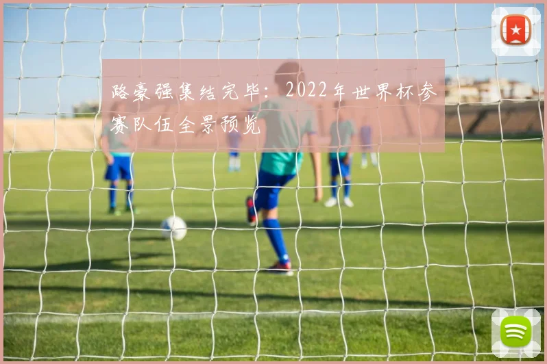 路豪强集结完毕：2022年世界杯参赛队伍全景预览