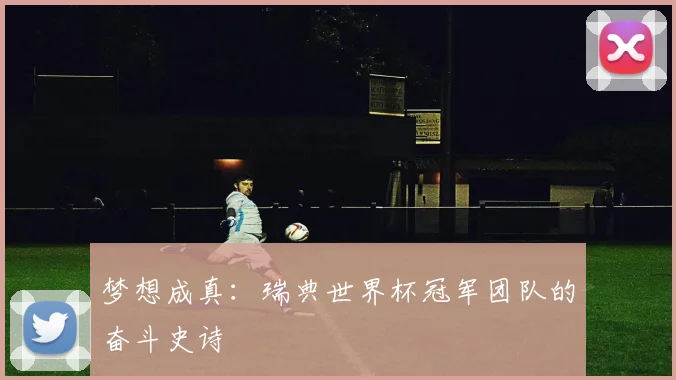 梦想成真:瑞典世界杯冠军团队的奋斗史诗