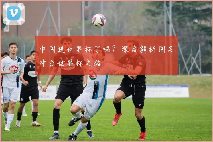 中国进世界杯了吗?深度解析国足冲击世界杯之路
