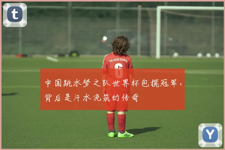 中国跳水梦之队世界杯包揽冠军,背后是汗水浇筑的传奇