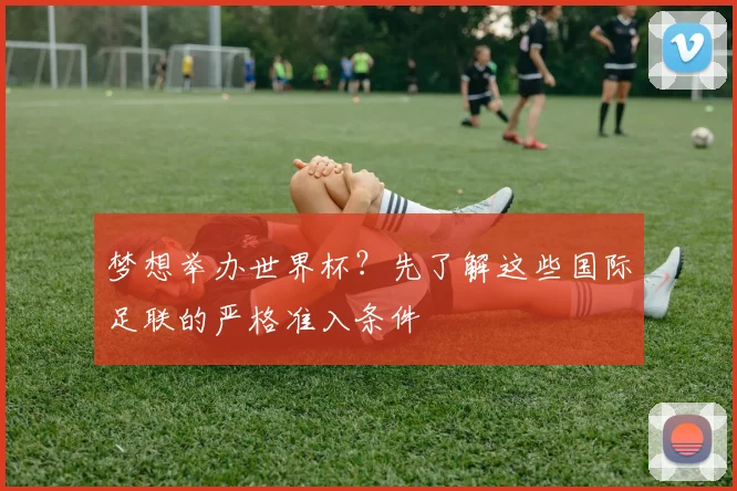 梦想举办世界杯?先了解这些国际足联的严格准入条件