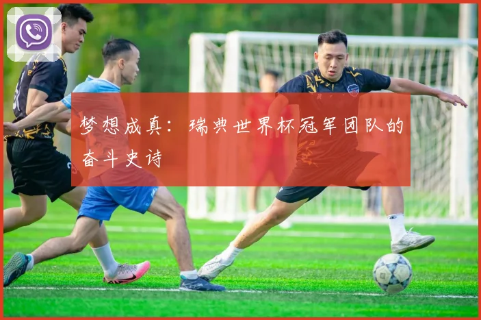梦想成真:瑞典世界杯冠军团队的奋斗史诗