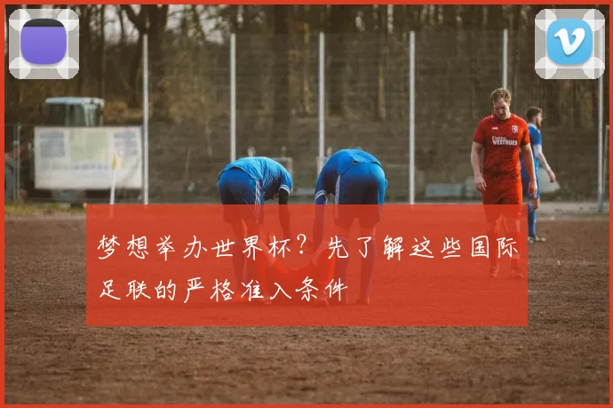 梦想举办世界杯?先了解这些国际足联的严格准入条件
