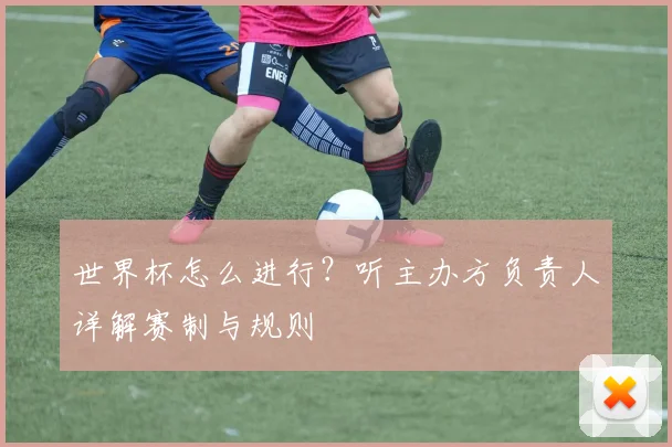 世界杯怎么进行?听主办方负责人详解赛制与规则