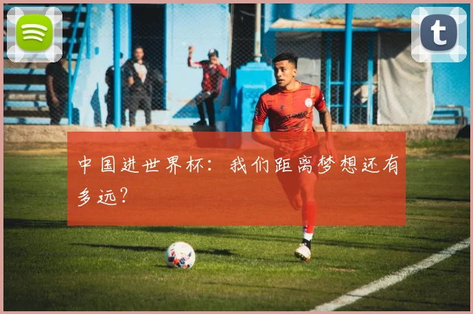 中国进世界杯:我们距离梦想还有多远?