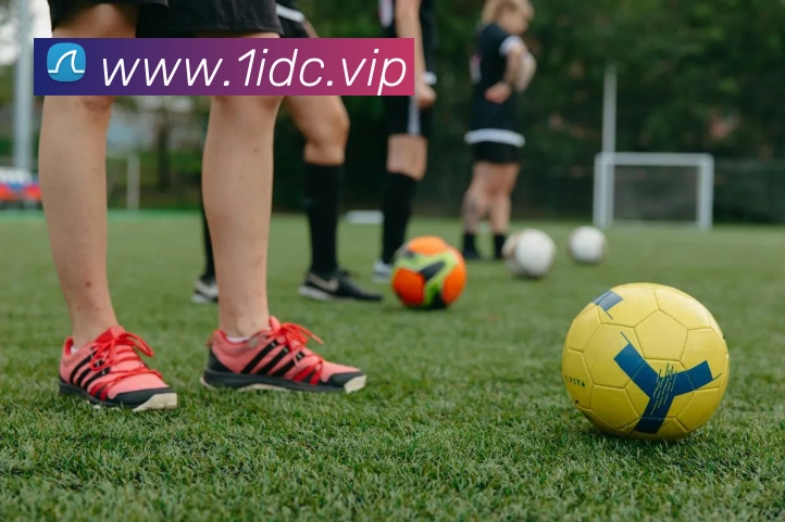 华体在线登录入口全站App